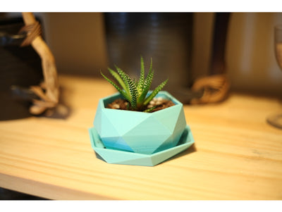 160+ Planter Designs STL Files
